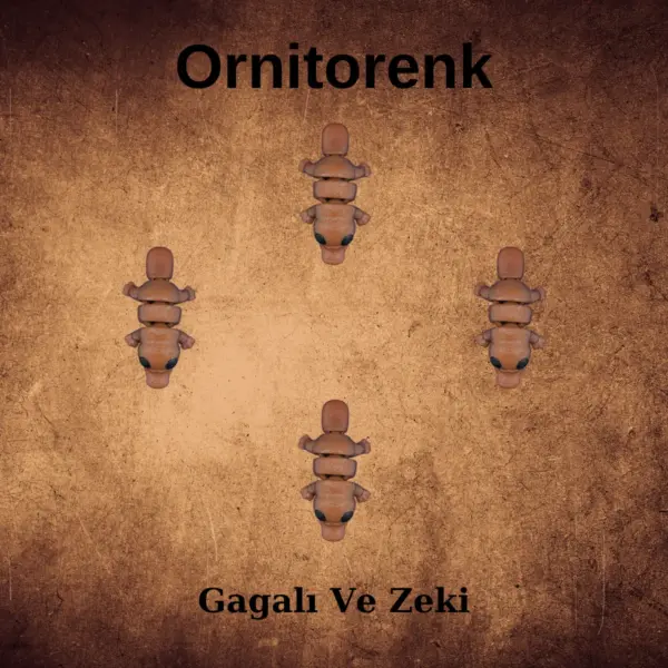 Ornitorenk