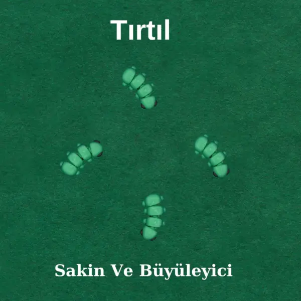 Tırtıl