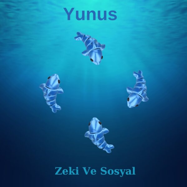 Yunus