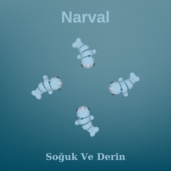 Narval