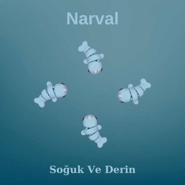 Narval