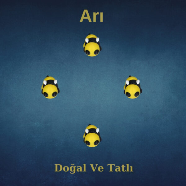 Yazlıkçı İskelet